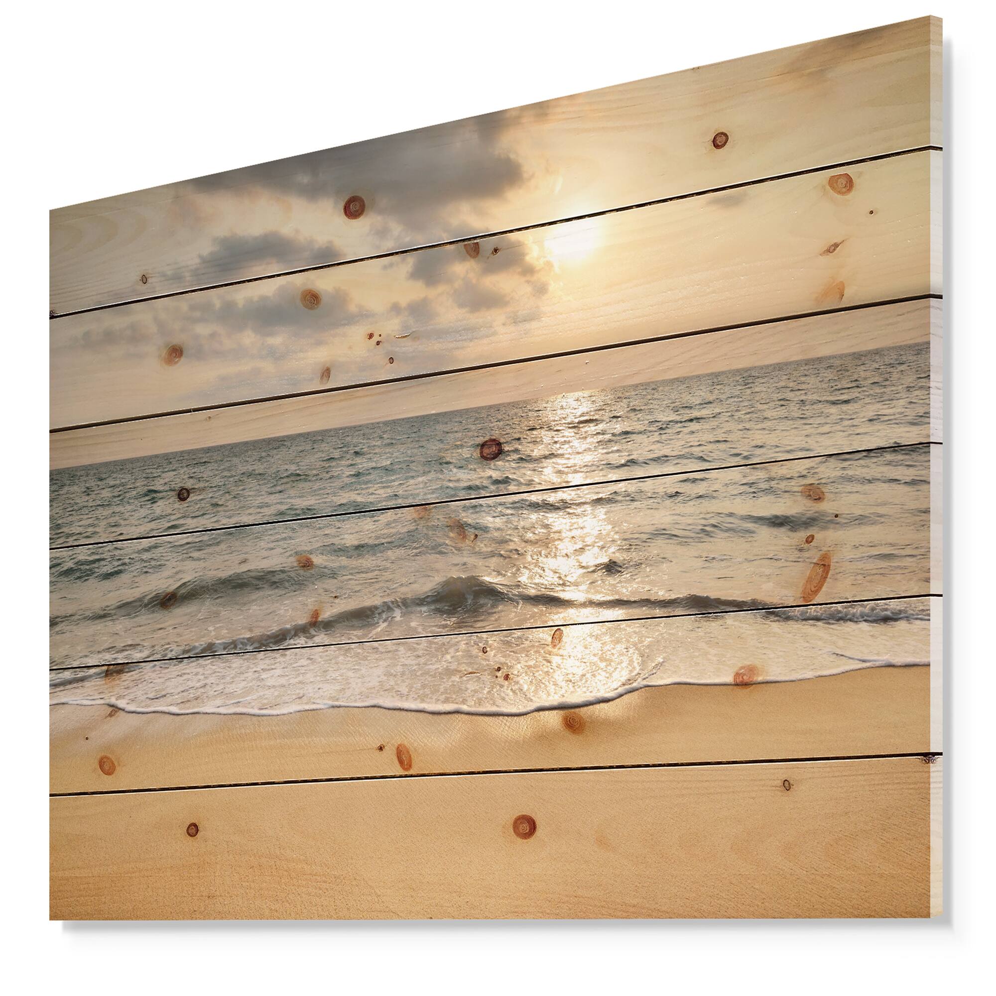 Designart - Dark Tropical Sand Beach at Sunset